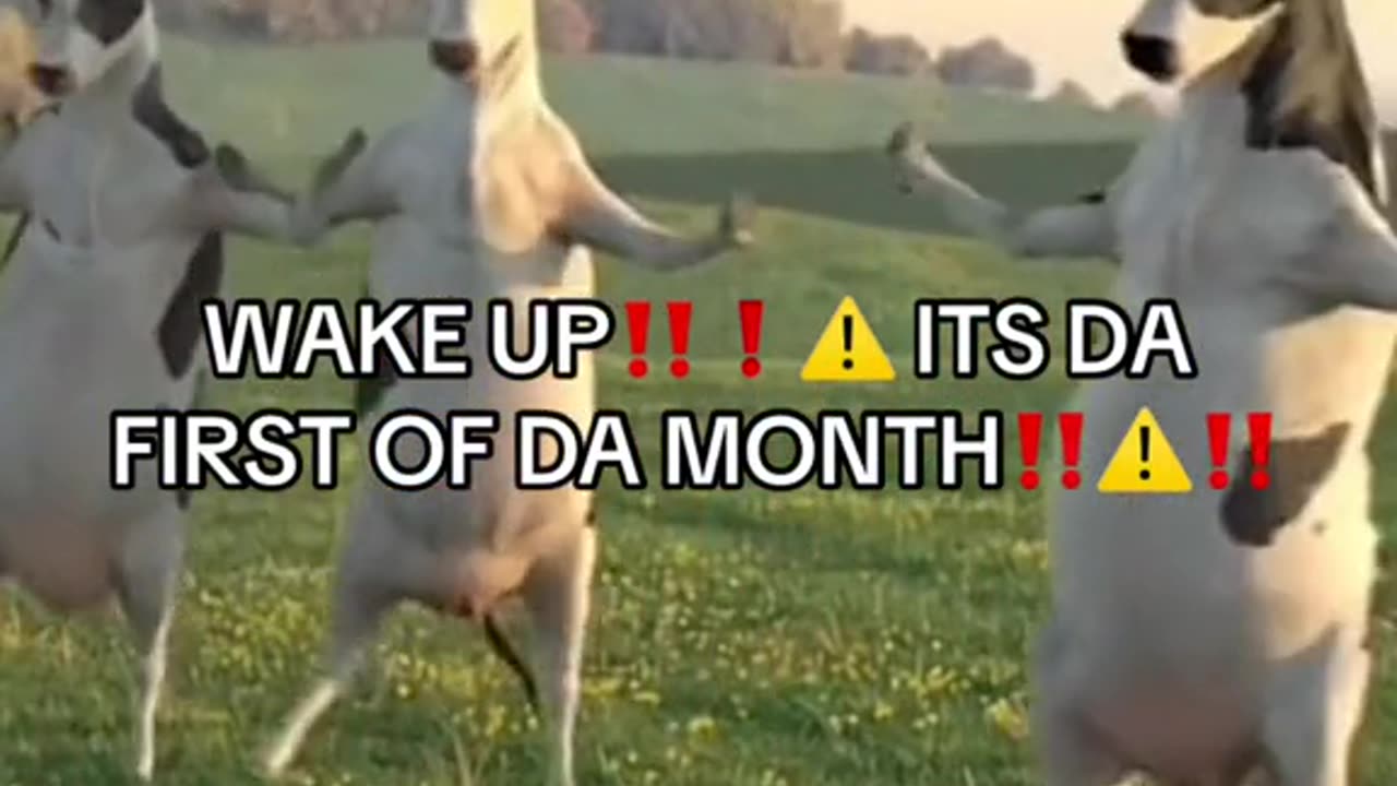 WAKE UP!!! It's the first day of the month