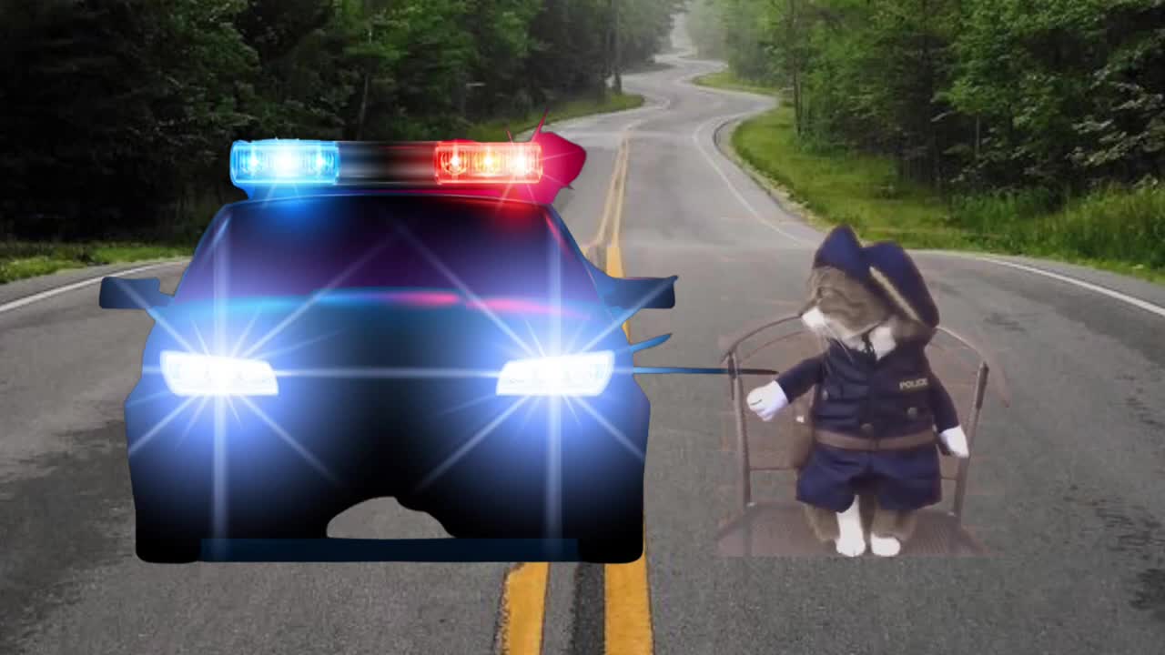 Cat and Dog Play Cops and Robbers!
