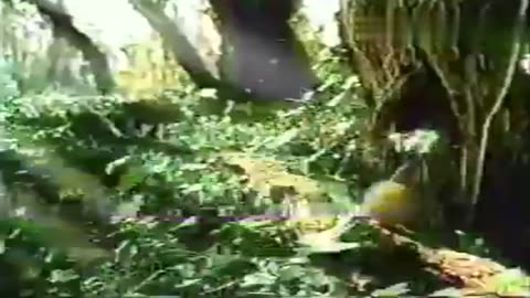 Salus Limonada - Publicidad uruguaya (2004)