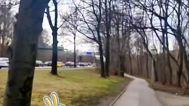 Walking is the best exercise 😅💪