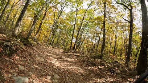 Rocks and more Rocks at Lost Trails Dunham Pa