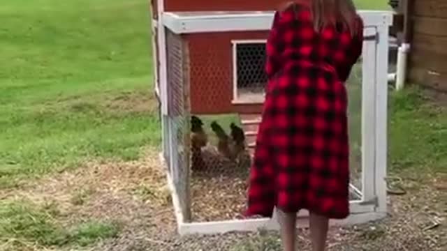 funny monkey attacks on hen