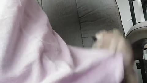 Fluffy's Pajama Munch: Too Cute to Handle