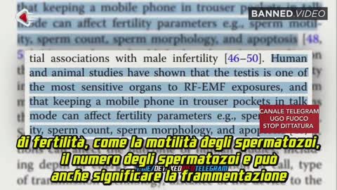 🔴5G, VACCINI E SCIE CHIMICHE SONO ARMI PER IL ..