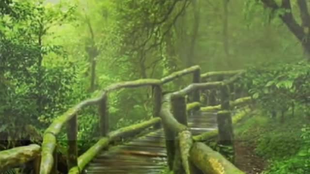 In the river of infinite time, life is just a tiny, tiny wave