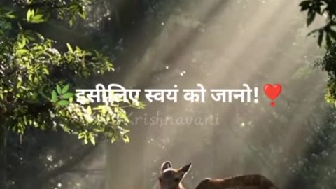 Lord Krishna - Motivational Gita Gyan & Life Lessons - 01