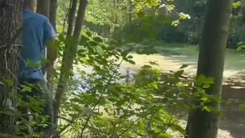 Genius throws rock at a hornet's nest