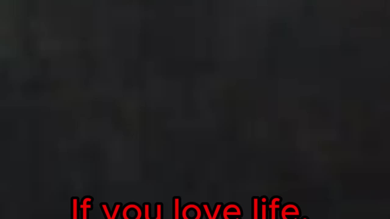 Bruce Lee Life Quotes