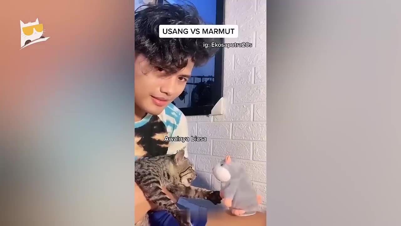 1 Hour of Funniest Animals 2023 - Funniest Cats and Dogs 😹🐶
