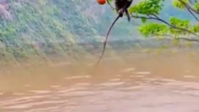 Comedy video scenes 😂😂😛😛