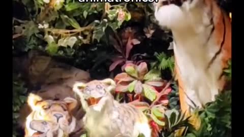 Why does my cat move like the Rainforest Cafe animatronics?