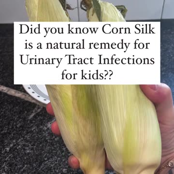 Corn silk