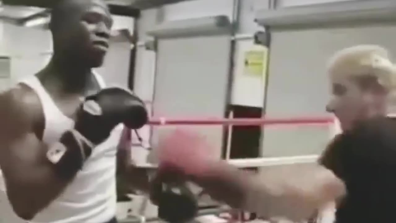 Floyd Mayweather: Shoulder Rolls and Counter Punching