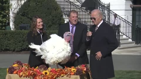 Biden: "Nine and a half million turkeys, I tell you what, that's like some of the countries