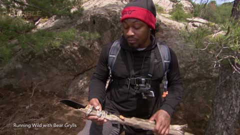 Marshawn Lynch Kills Wild Hog For Dinner, Threatens to Fight Bear Grylls