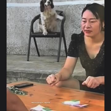 Funny moments with my dog #40 🐕