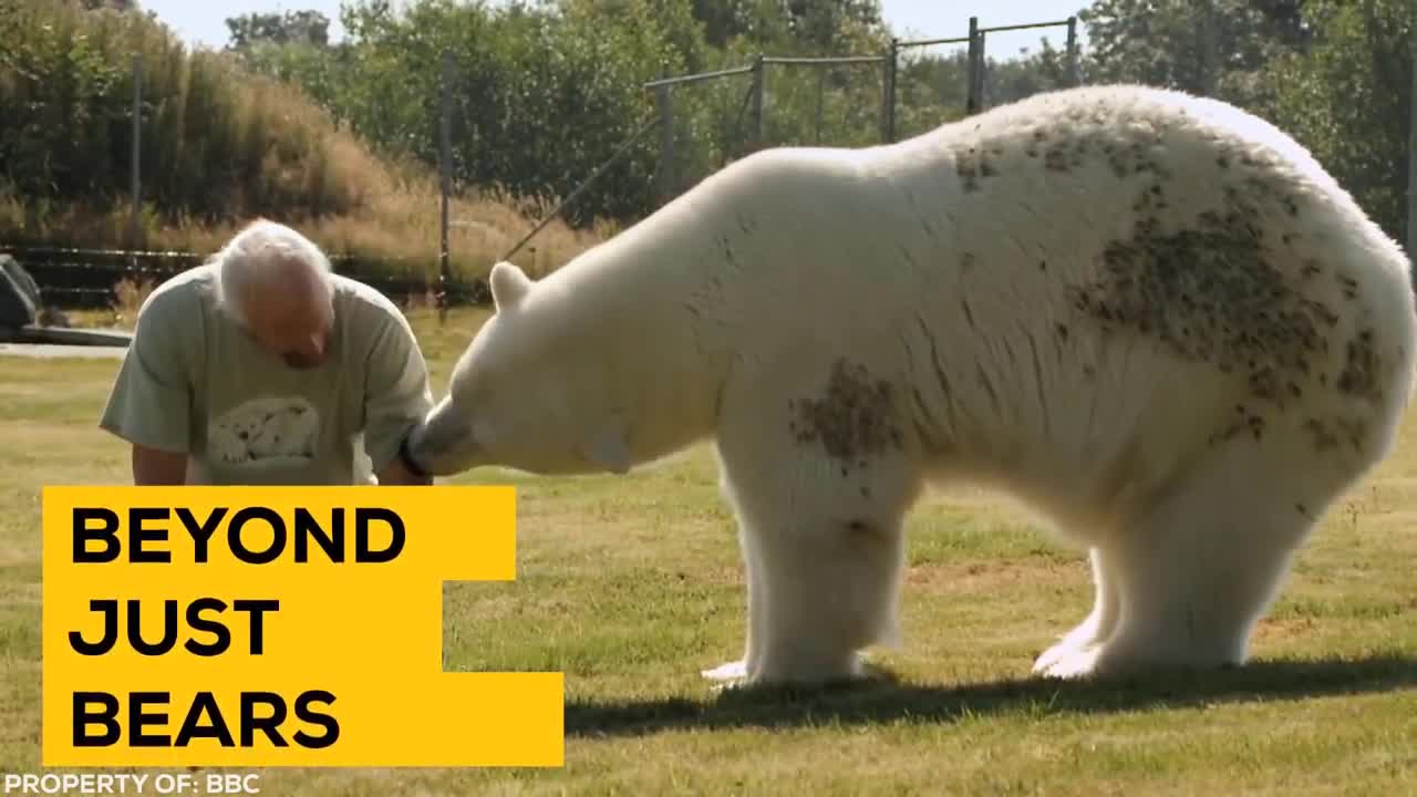 Lion Sees Her Adoptive Dad After 7 Years...