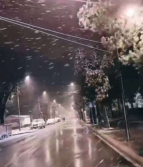 Reshje bore ne dardhe