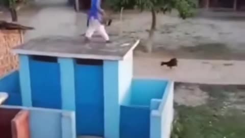 Desi spider man #memes