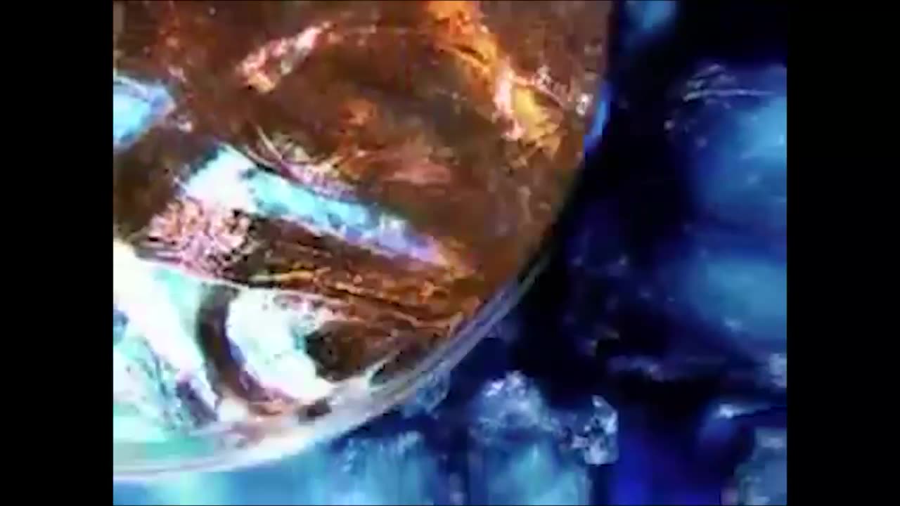 Synthetic Life