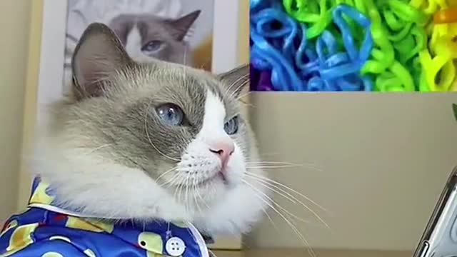 Some noodle for today 😁