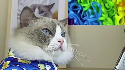 Some noodle for today 😁