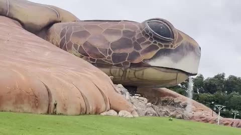 giant turtle