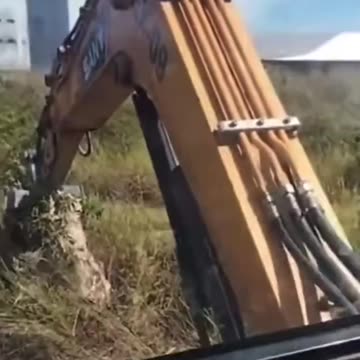 Destroying a hornet’s nest goes horribly wrong