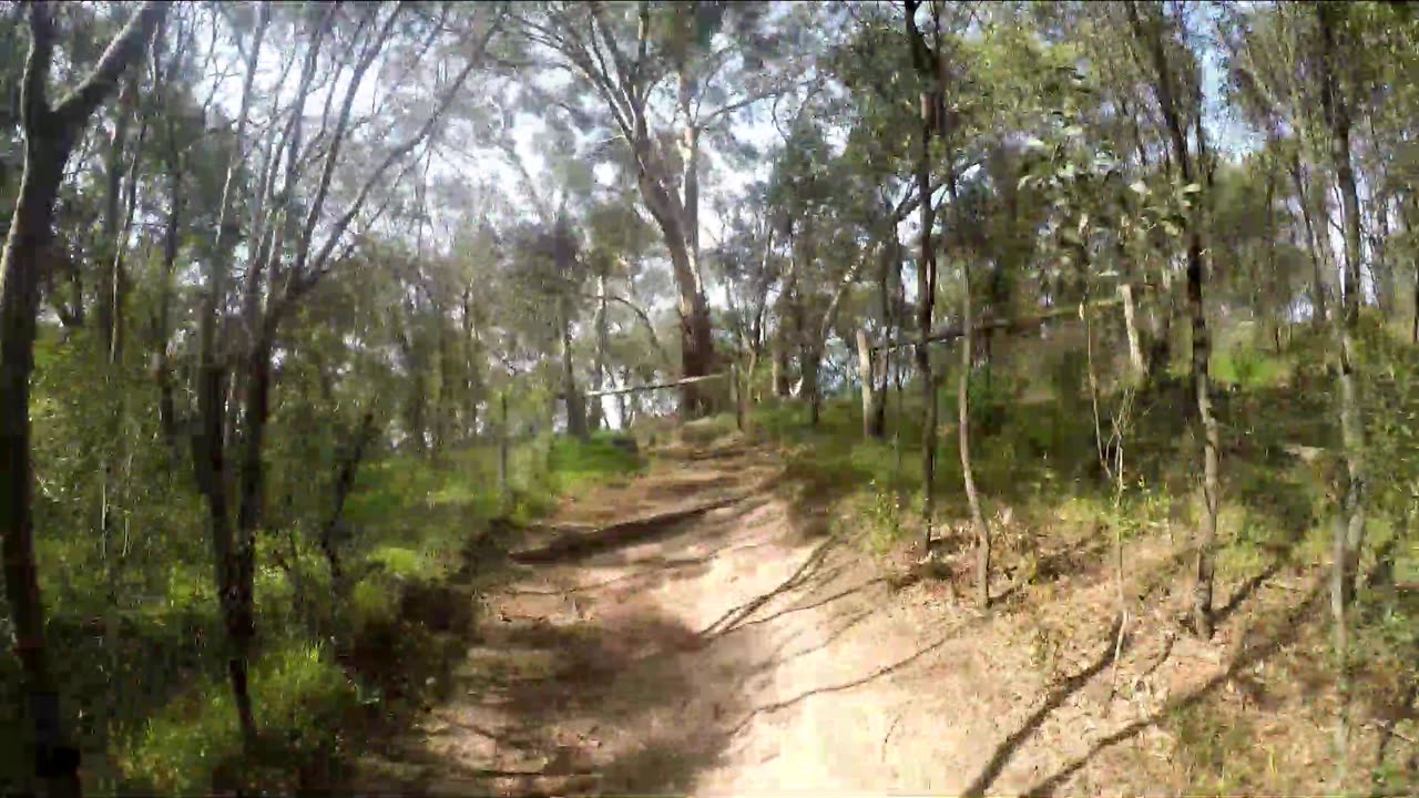 Yarra River Dirt Trail Snake Country on Foot 2