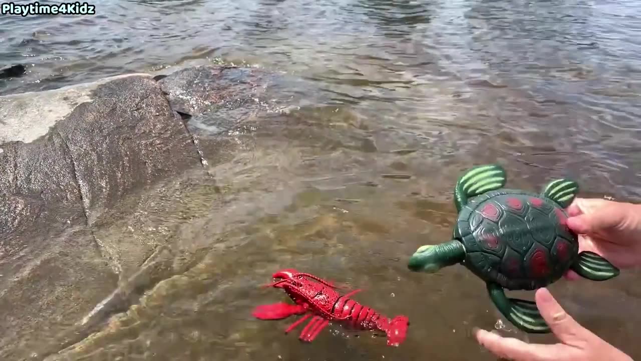 Sea Animal Toys at the Shore