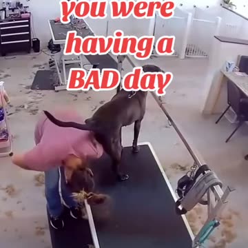 If you think you had a BAD DAY???