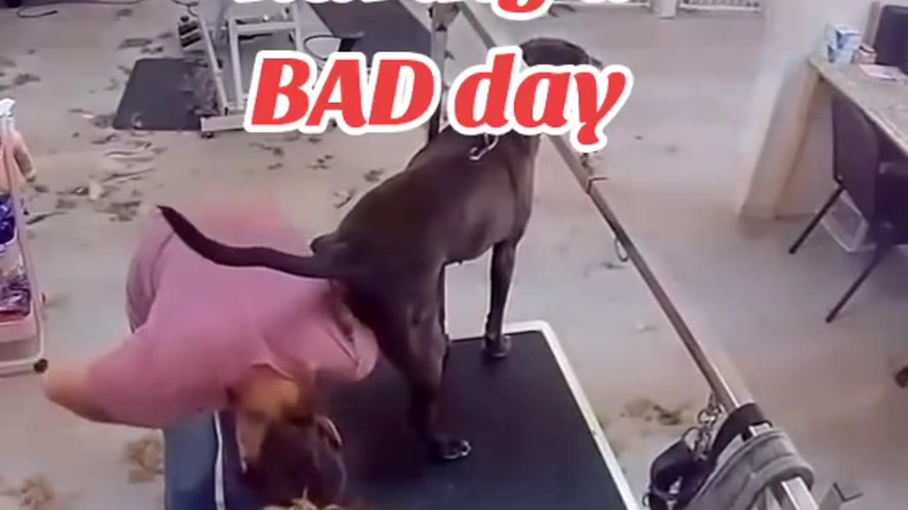 If you think you had a BAD DAY???