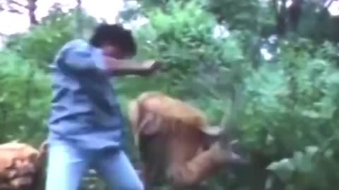 India Movie Fight Scene Man vs Tigers