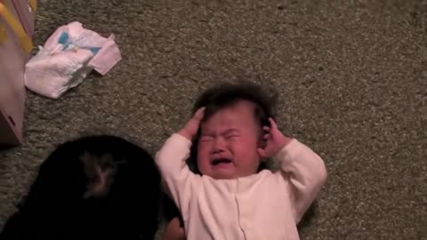 FUNNY VIDEOS - Compilation of babies getting hurt BIRTHDAY EDITION