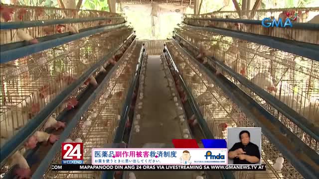 Farmgate price na manok at itlog, bumaba: local