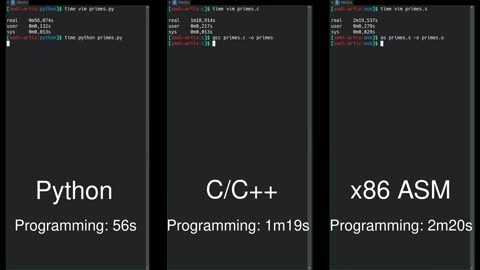 Python vs C/C++ vs Assembly language comparison