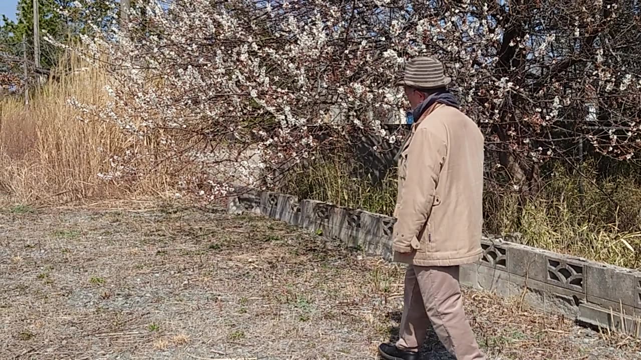 Our flower garden and scenery in Nasu, Japan.