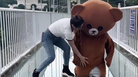 Funny video - Funny Bear