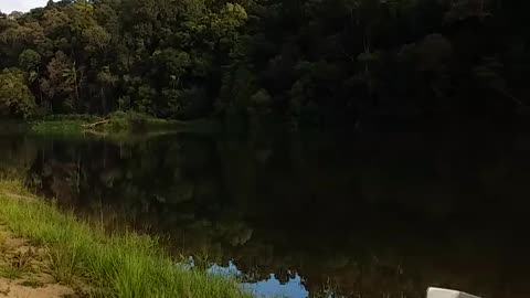 24.11.2024 The Barron River, Kuranda (2)