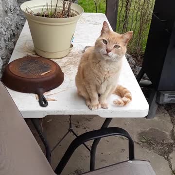 awwww lol u know msn i sdkd