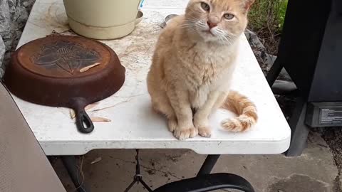 awwww lol u know msn i sdkd