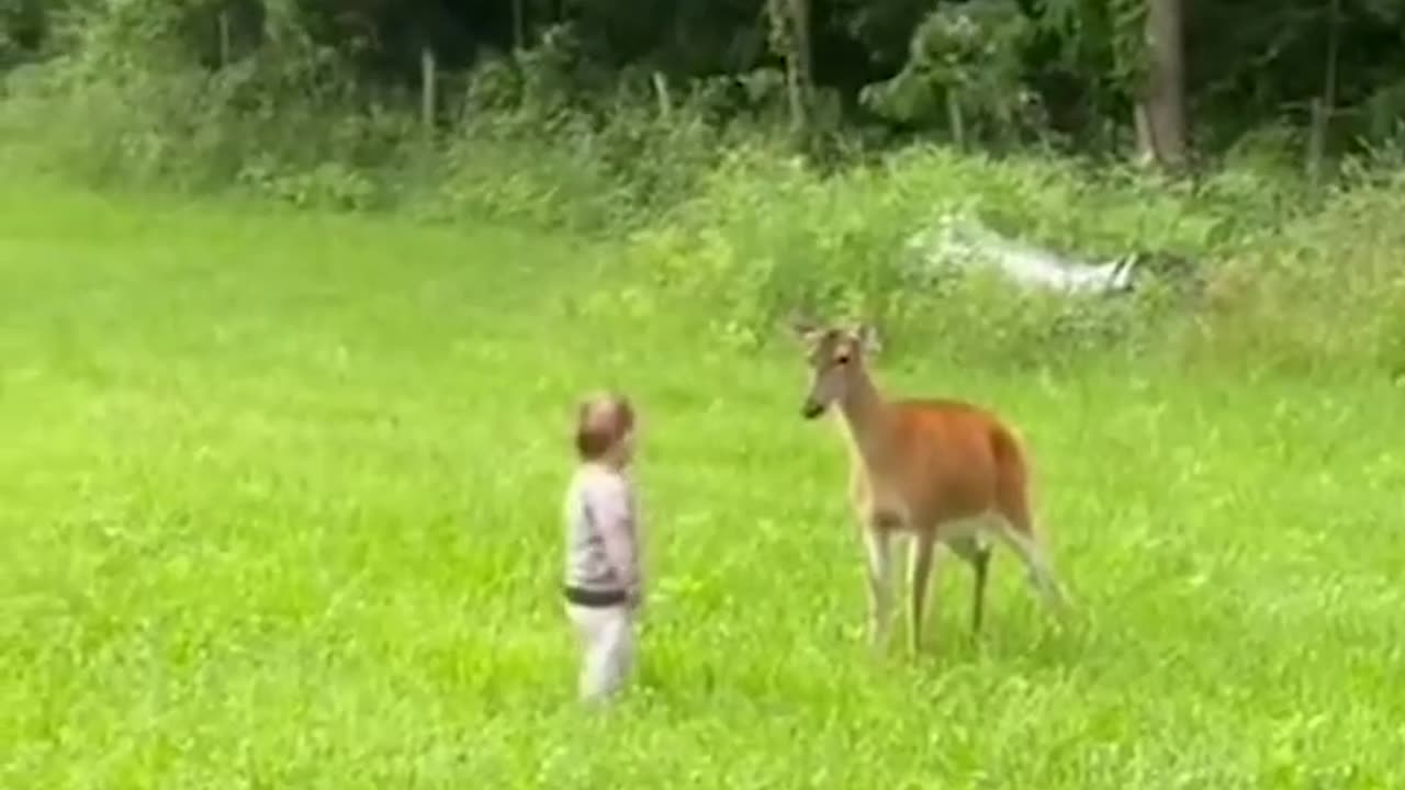 BAMBI IS EVIL NOW