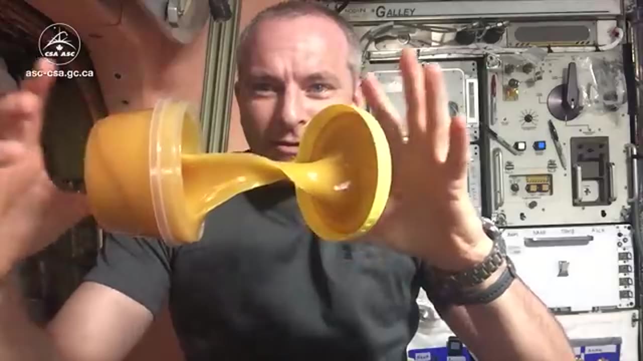 Honey in space