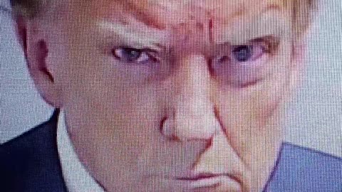 Trump's epic mugshot