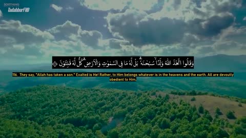 Surah Al Baqarah (The Cow) by Ahmad Al Shalabi Beautiful Quran Recitation