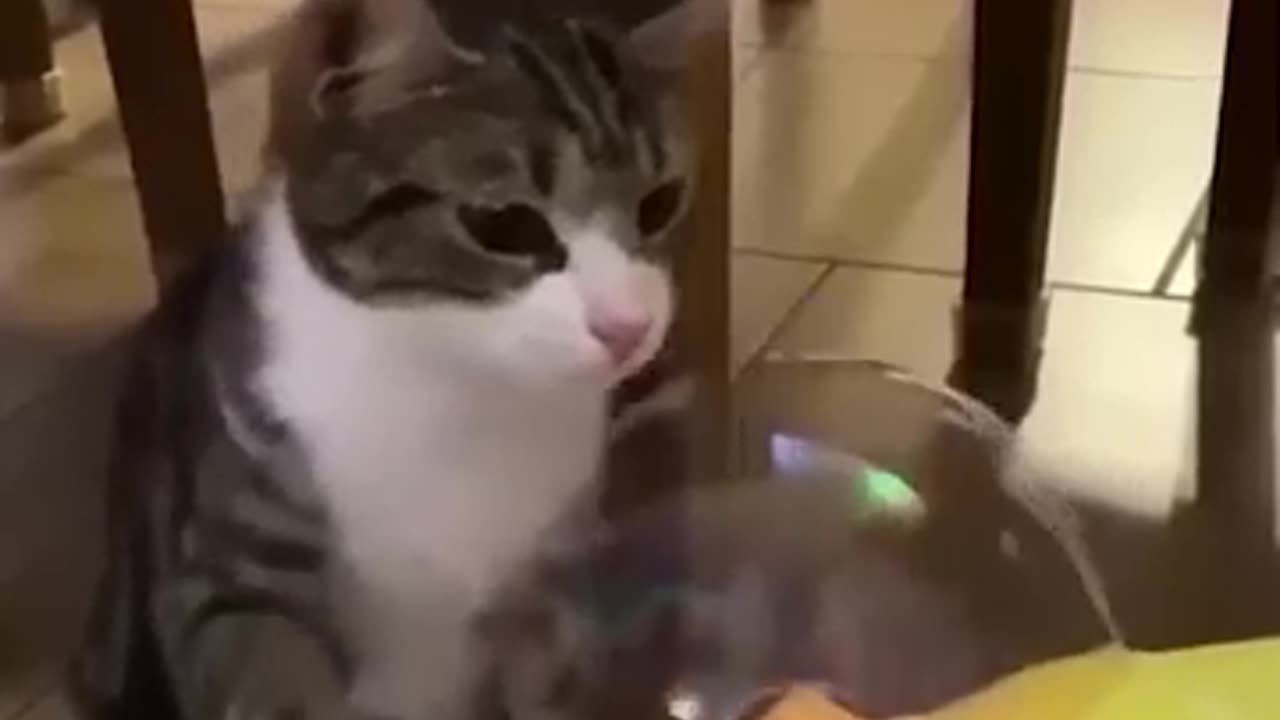 http://sharevideo1.com/v/S2lXMXNqNWRtRzA=?f=co