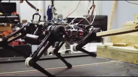 Mini Cheetah Robot