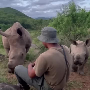 Mom and baby rhino visiting their protector