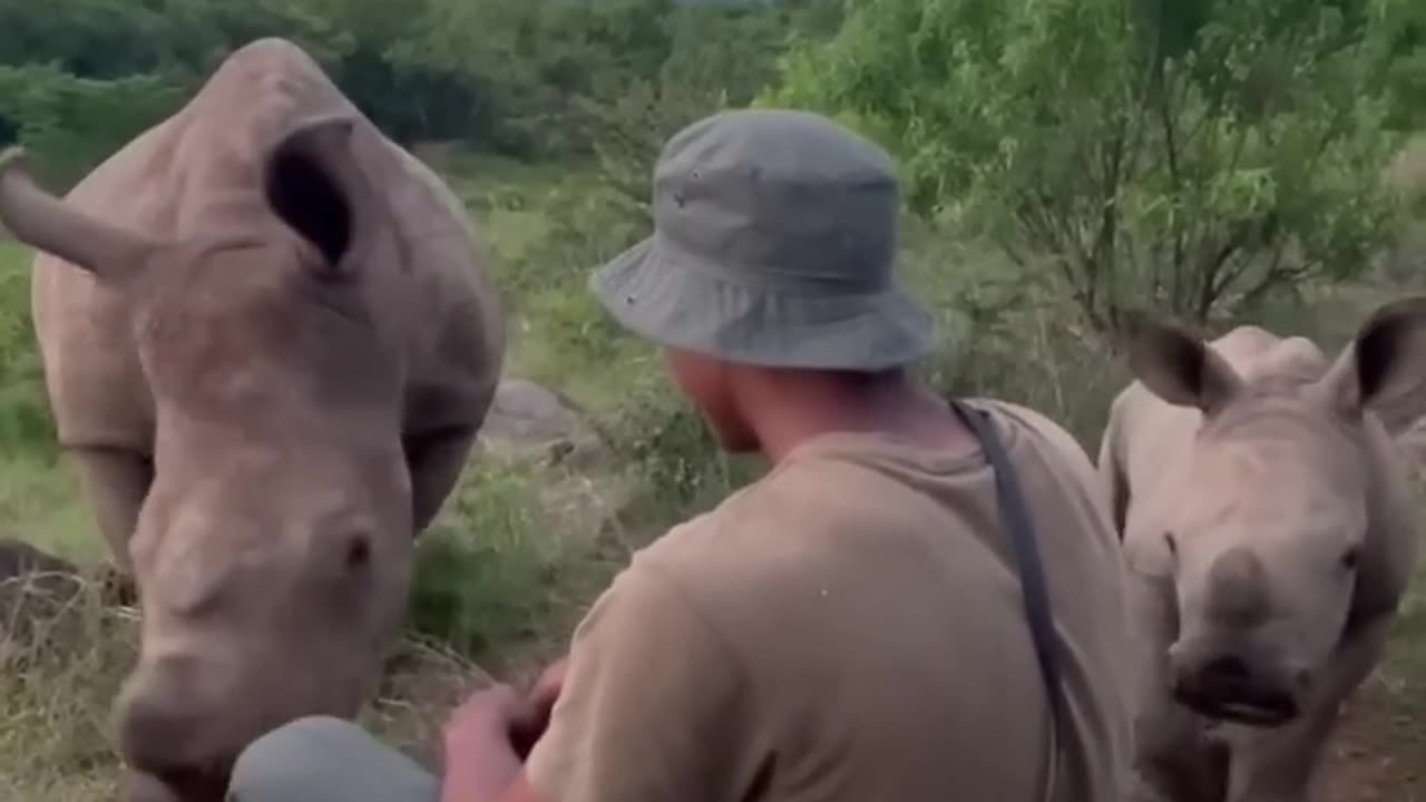 Mom and baby rhino visiting their protector