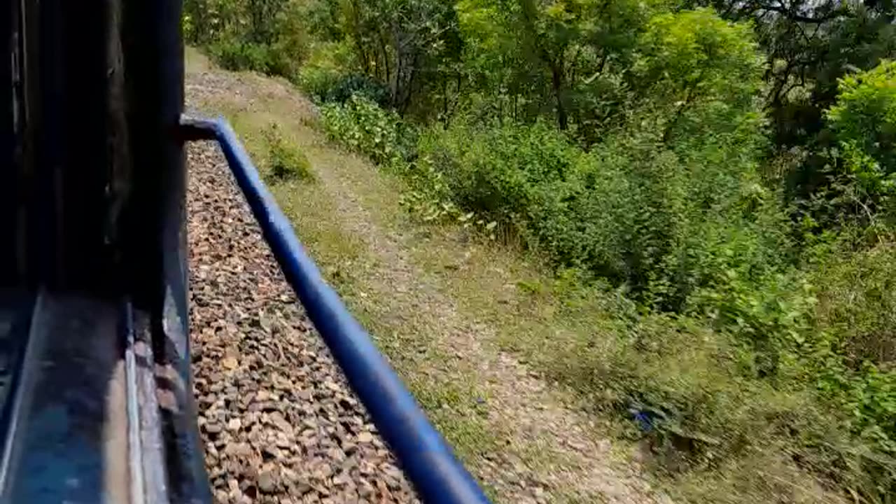 Train Bridge Crossing